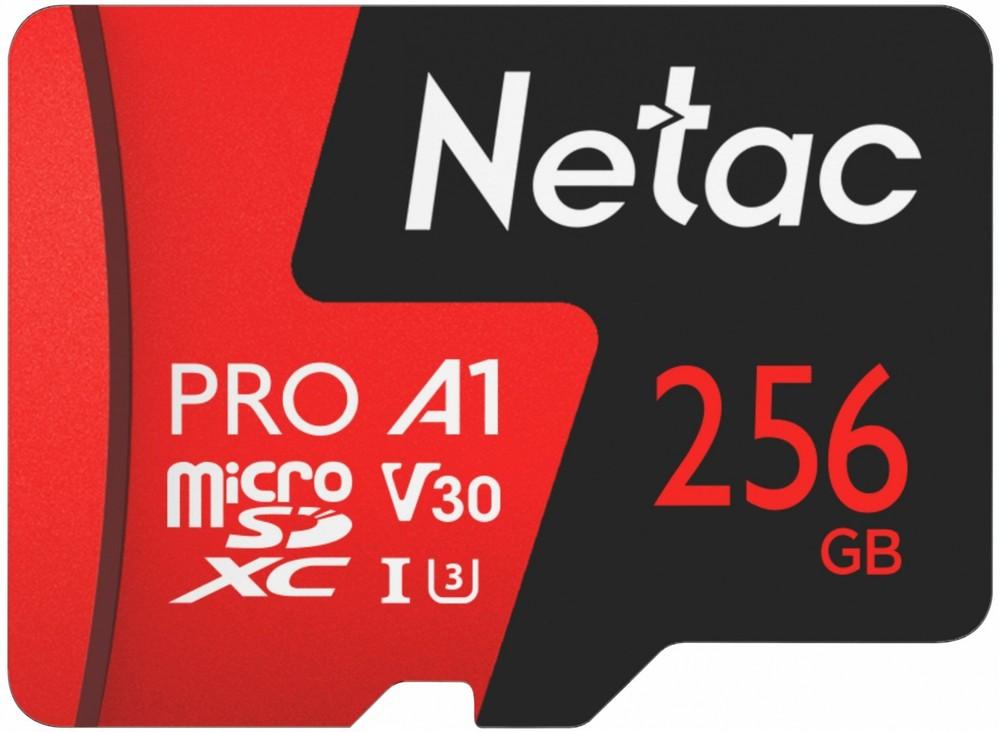 Карта памяти 256GB NT02P500PRO-256G-S